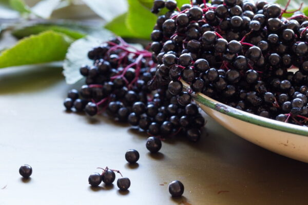 Fructe de soc