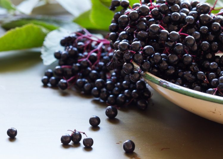 Fructe de soc